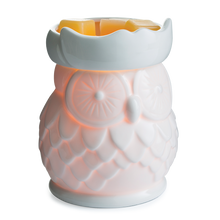 Load image into Gallery viewer, Owl Warmer