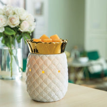 Load image into Gallery viewer, Pineapple Warmer