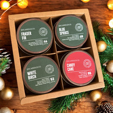 Load image into Gallery viewer, Winter Discovery Set