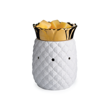 Load image into Gallery viewer, Pineapple Warmer